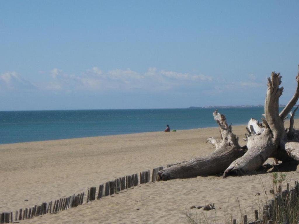 L'Etoile De Mer سُت المظهر الخارجي الصورة